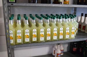 Distillerie  Monforte del Cid- 030